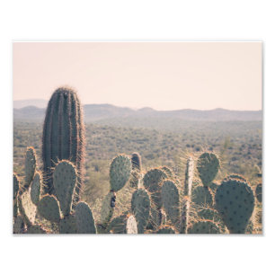 Tryck för foto för Arizona kaktus