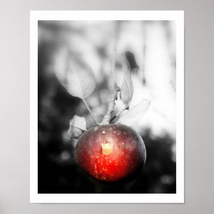 Tryck "för frestelse" Apple fotografi