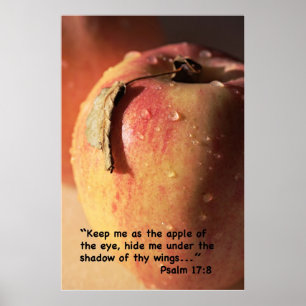 Tryck för Psalm17:8Scripture