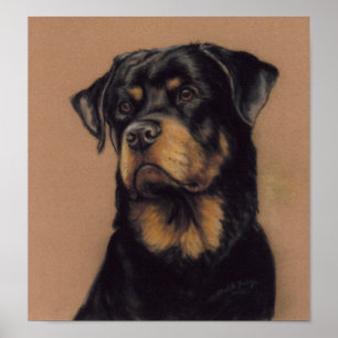 Tryck för Rottweiler hundkonst