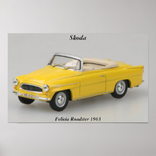 Tryck för Skoda FeliciaRoadster 1963