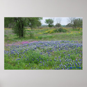 Tryck för Texas backeland