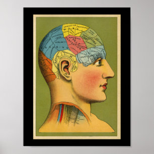 Tryck för vintagemänniskaPhrenology