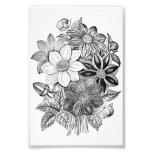 Tryck för vit för vintageblommor svart