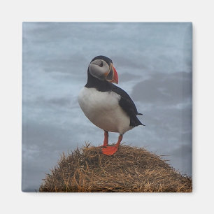 Tryck in i Mist Fridge Magnet