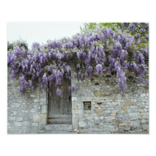 TRYCK - WisteriaViviers frankrike
