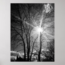 Tryckeriet sol och träd gren poster