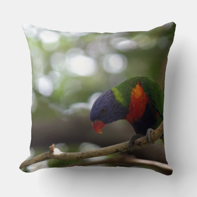 trycket för papegojafågeltigern personifierar kudde (Framsida)