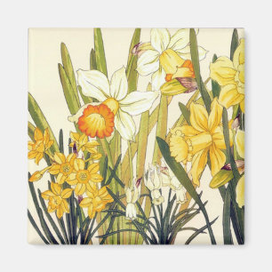Tryckkammare för antikviteter Skriv ut affodils,  Magnet