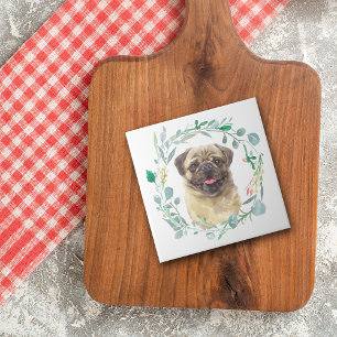 Tryckluftsbricka i Pug Hund Grönt Kakelplatta