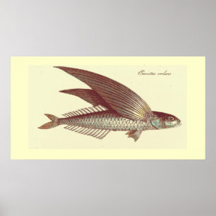 Tryckning av flygande vintage poster