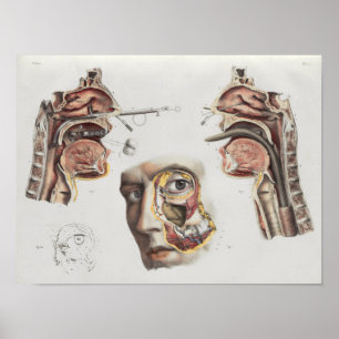 Tryckning av kirurgisk medicinsk Vintage Anatomy P Poster