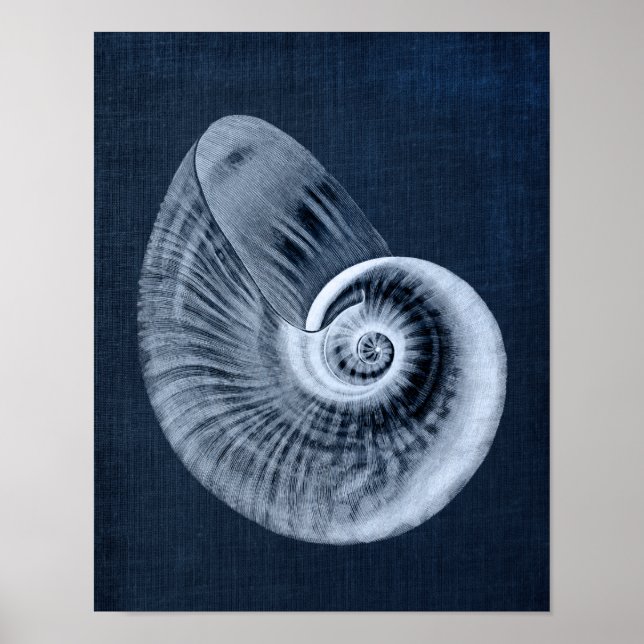 Tryckning av marint blåskärmsdekorskårans seashell poster (Framsidan)