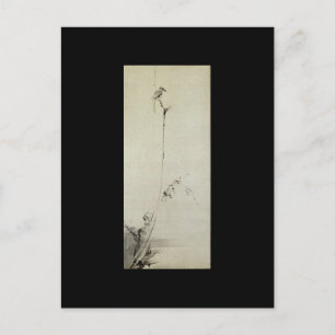 Tryckning av Miyamoto Musashi, c. 1 600 Vykort