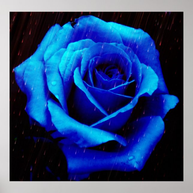 Tryckning av Poster Blått Ro (Framsidan)