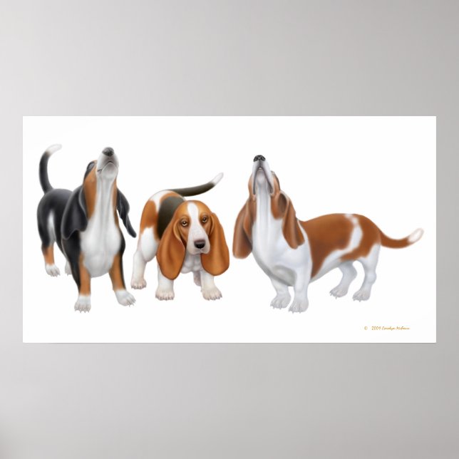 Tryckning av skräppost för Basset Hound Poster (Framsidan)