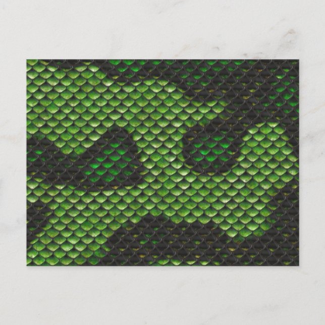 Tryckt Fake Grönt Snake Skin Camo Stil Design Vykort (Framsida)