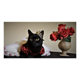 Tryckt för Boll Perfect Poster