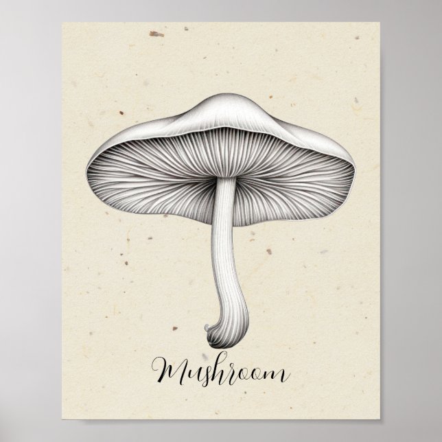 Tryffelsvamp Poster (Framsidan)