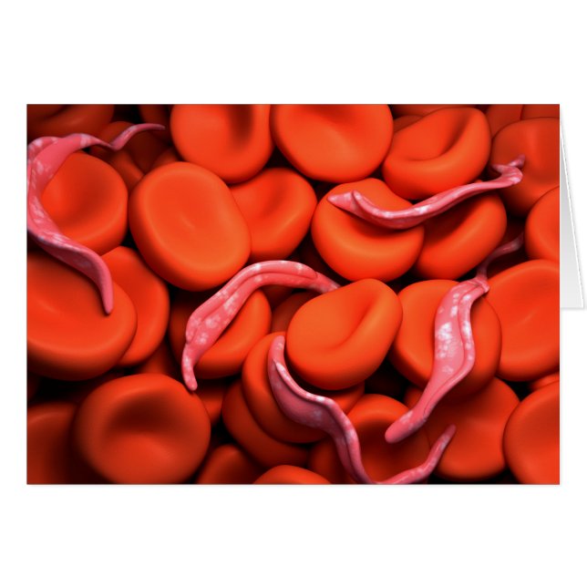 Trypanosoma 3-bild hälsningskort (Framsidan Horizontal)