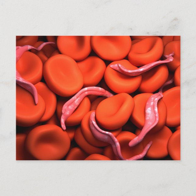 Trypanosoma 3-bild vykort (Framsida)