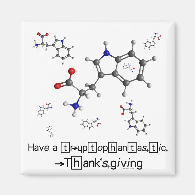Tryptophan Molecule Magnet (Framsidan)