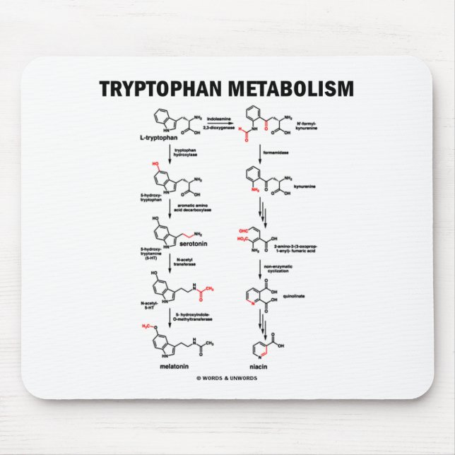 Tryptophanämnesomsättning (kemi) musmatta (Framsidan)