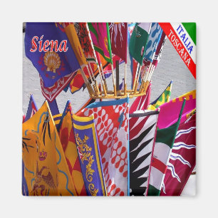 TSC063 SIENA, Contrade Banners, Fridge Magnet