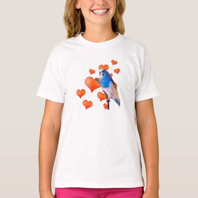 TShirt för sleeve för parakiterhjärtaRaglan T Shirt (Framsida)