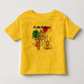 Tshirts och gåvor för födelsedag för apasken 2nd