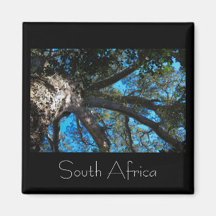 Tsitsikamma nationalpark South Afrika Magnet