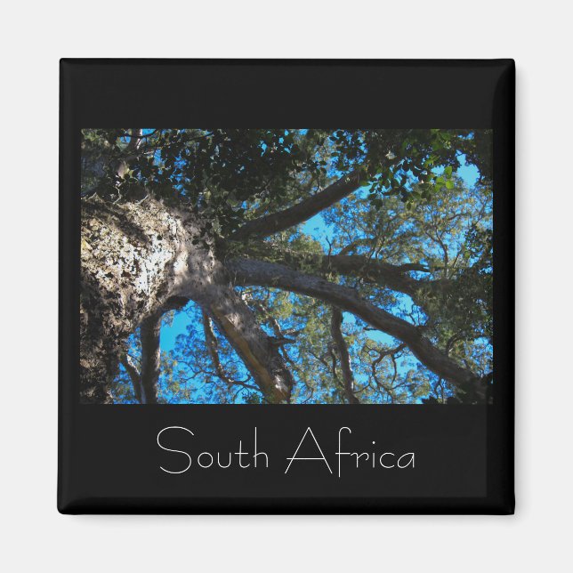 Tsitsikamma nationalpark South Afrika Magnet (Framsidan)