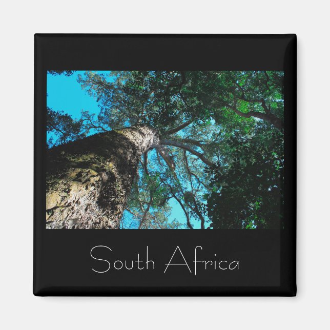 Tsitsikamma nationalpark South Afrika Magnet (Framsidan)