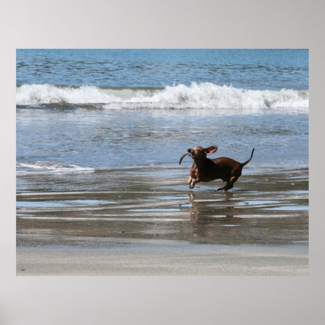 Tsunami Harry Poster (Framsidan)