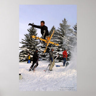 Tsvaged Ski Grab Poster