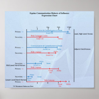 TTBLoodstock Equine-kommunikationsdiagram Poster