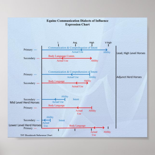 TTBLoodstock Equine-kommunikationsdiagram Poster (Framsidan)
