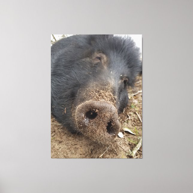 T'tig Canvastryck (Framsida)