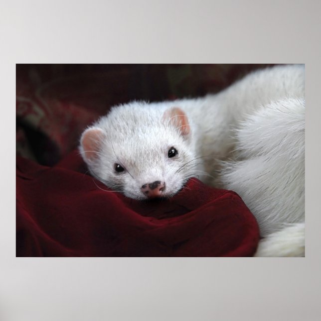 Tu chantais är bien... poster (Framsidan)