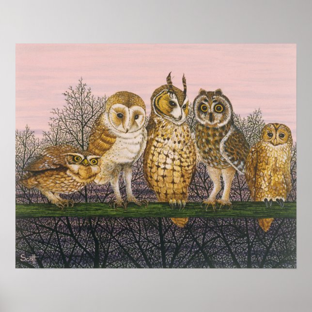 Tu-whit Tu-whoing Poster (Framsidan)