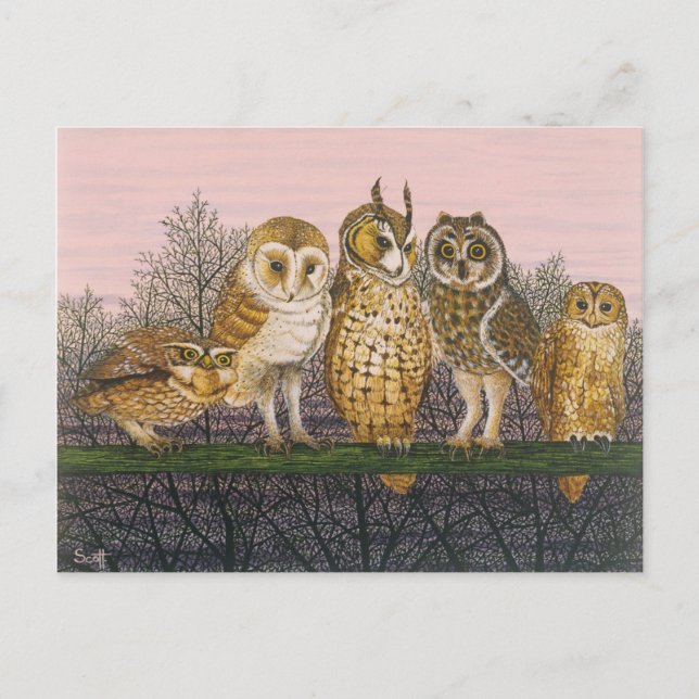 Tu-whit Tu-whoing Vykort (Framsida)