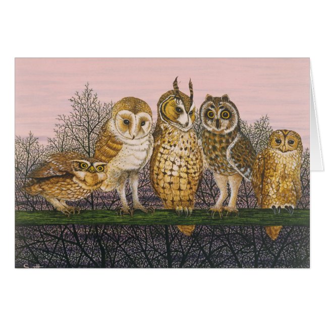 Tu-whit Tu-whooing Hälsningskort (Framsidan Horizontal)