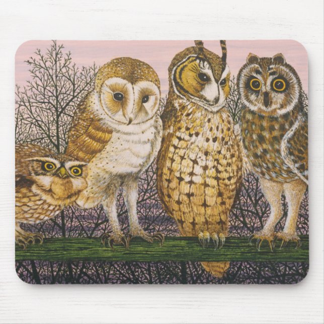 Tu-whit Tu-whooing Musmatta (Framsidan)