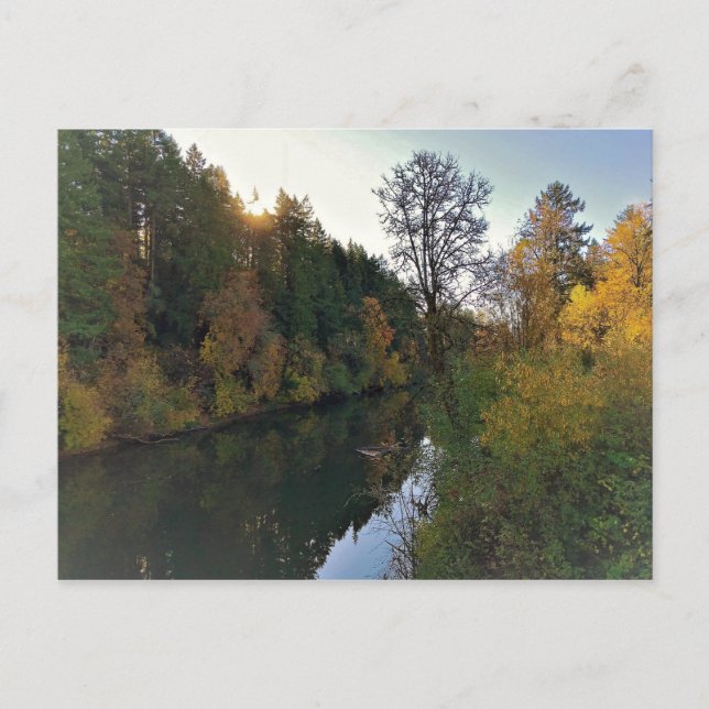 Tualatin River, Oregon Vykort (Framsida)
