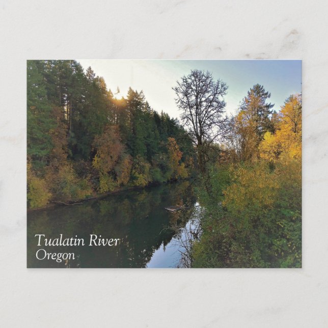 Tualatin River, Oregon Vykort (Framsida)