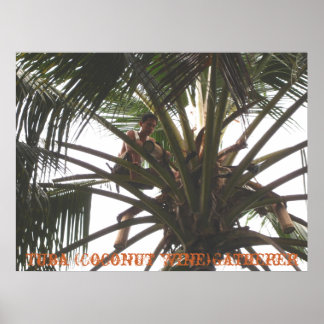 Tuba (Coconut Vin) Gatherer, Tuba (Coconut Win...) Poster