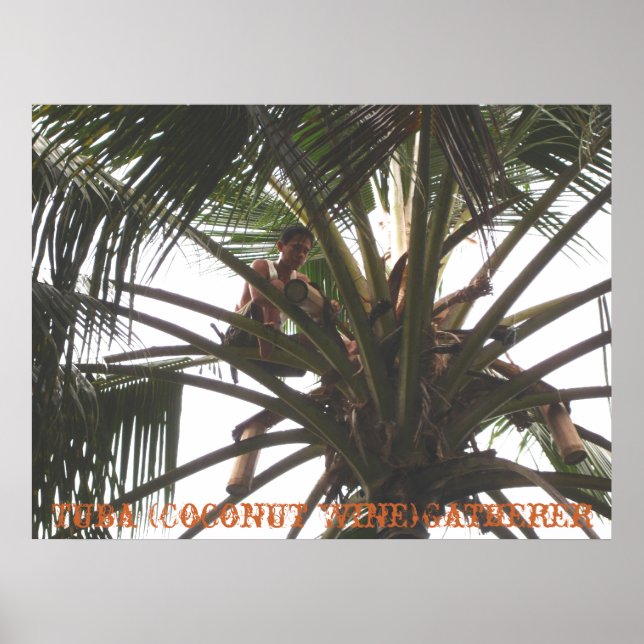 Tuba (Coconut Vin) Gatherer, Tuba (Coconut Win...) Poster (Framsidan)