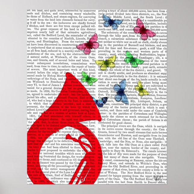 Tuba med Butterflies Poster (Framsidan)