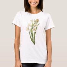 tuberose (Tuberosa sp.) vid Redouté