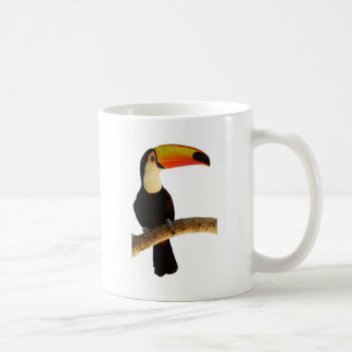 tucano passaro exótico da fauna brasileira kaffemugg